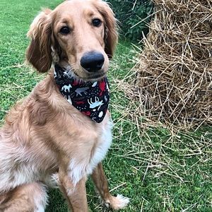 Pet Dog Bandana Black Deer Elk Winter Tie On Snap On Washable Reversible